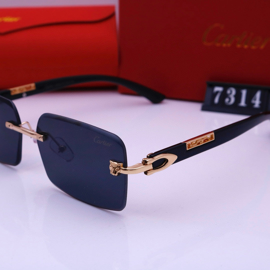 Narrow Rimless Sunglasses with Loop Hinges