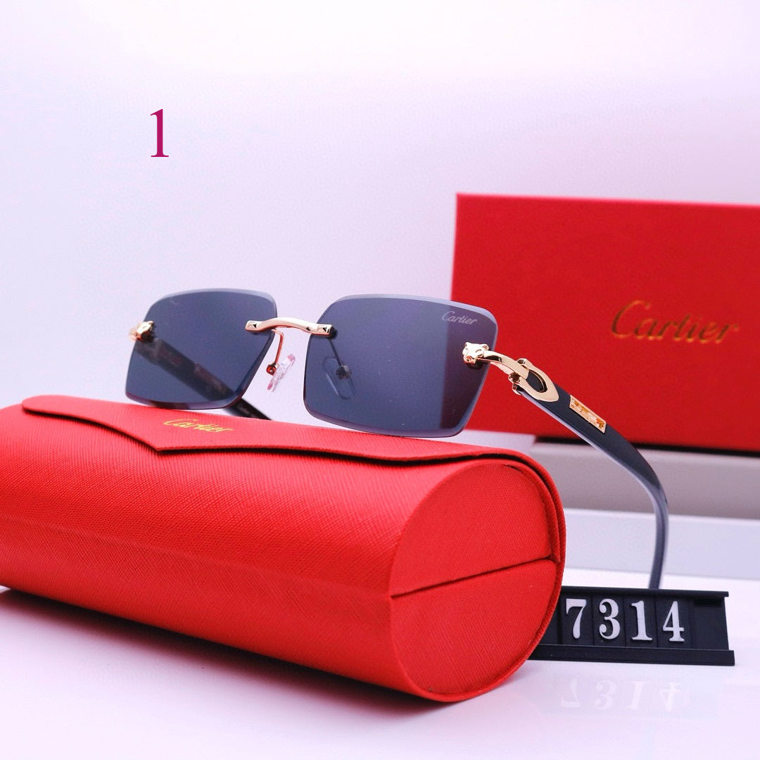 Narrow Rimless Sunglasses with Loop Hinges