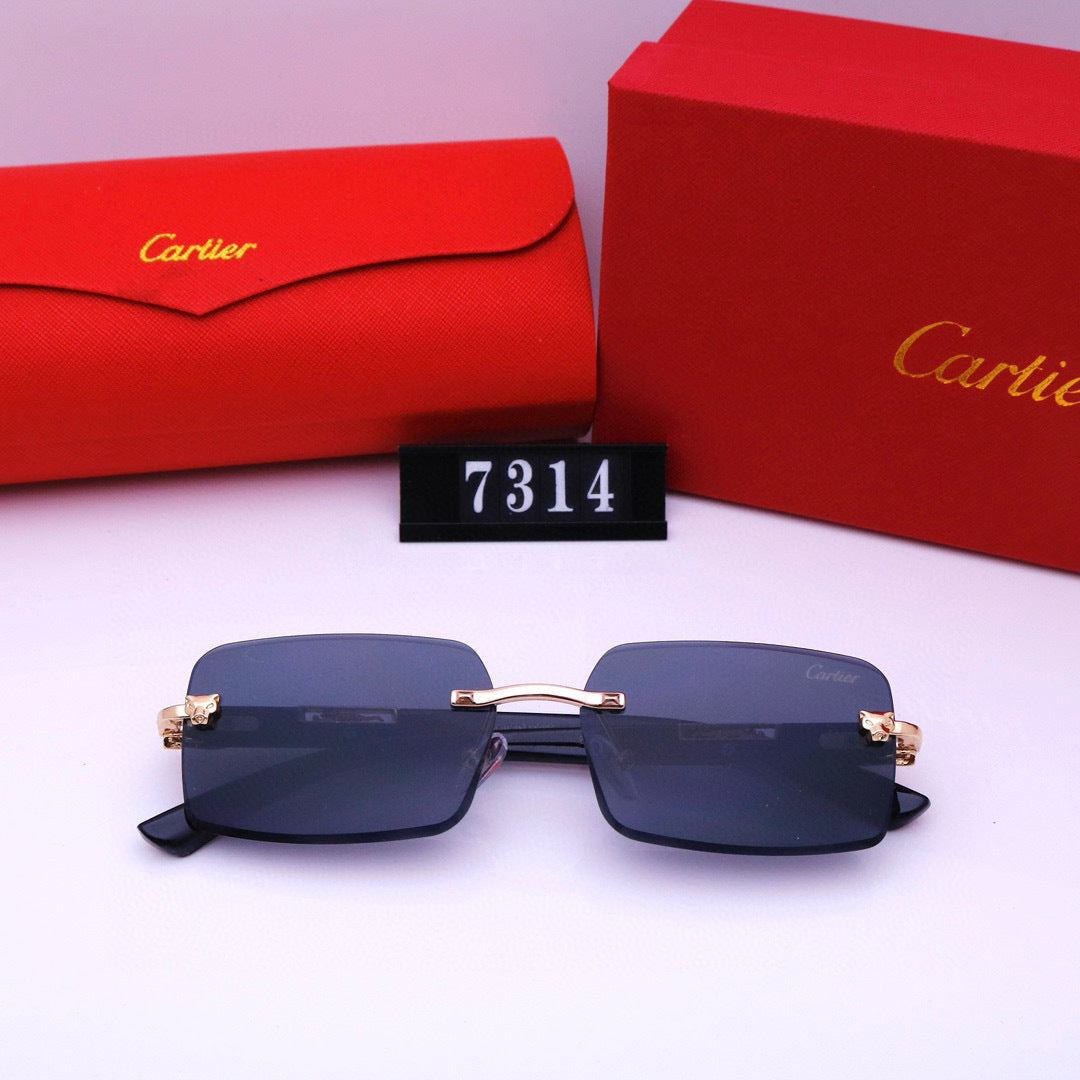 Narrow Rimless Sunglasses with Loop Hinges
