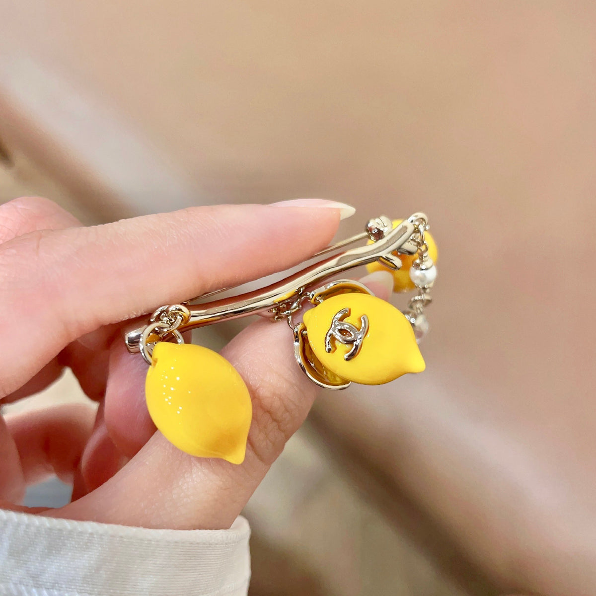 Premium Edition Brooch、Brooches Collection、CH*NEL Series、𝐁𝐫𝐨𝐨𝐜𝐡𝐞𝐬（𝐇）