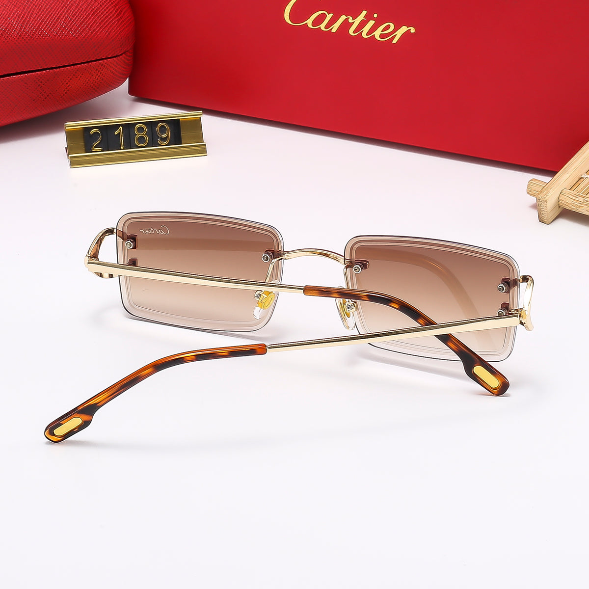 Geometric Square Sunglasses with Loop Temple Detail