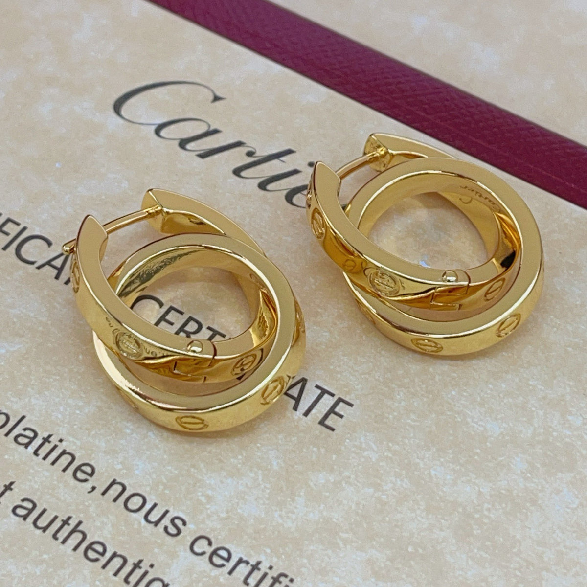 Double Ring Screw-Detail Drop Earrings