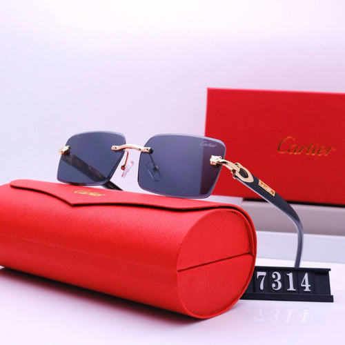Narrow Rimless Sunglasses with Loop Hinges