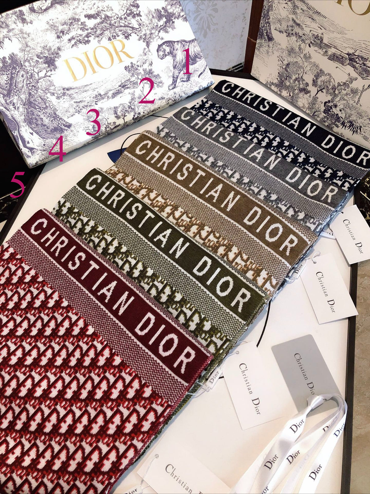 Monogram & Scenic Print Scarf - Style Options